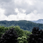 Feldküche auf Waldtour: Millstatt