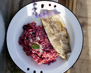 Read more about the article Ruibn Risotto mit Seeforelle.