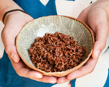 Read more about the article Reis‘ dich zusammen. Ja, es gibt Reis aus dem Burgenland!