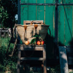 Im Apfelgarten | schnelle Apfel-Traubentarte