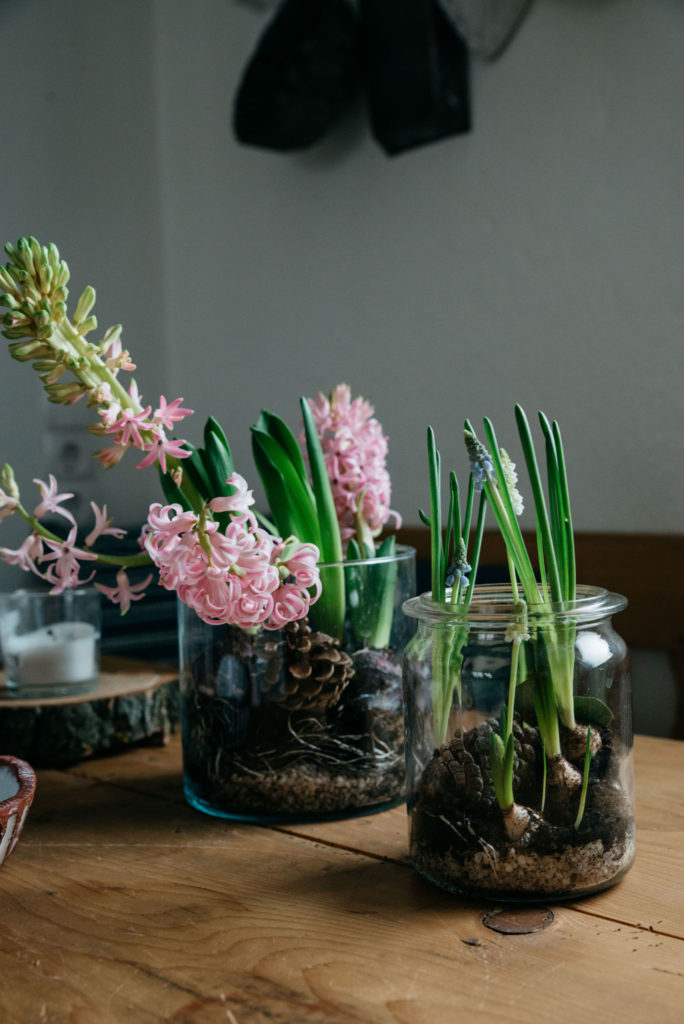 Frühling im Glas / eine einfache DIY-Anleitung