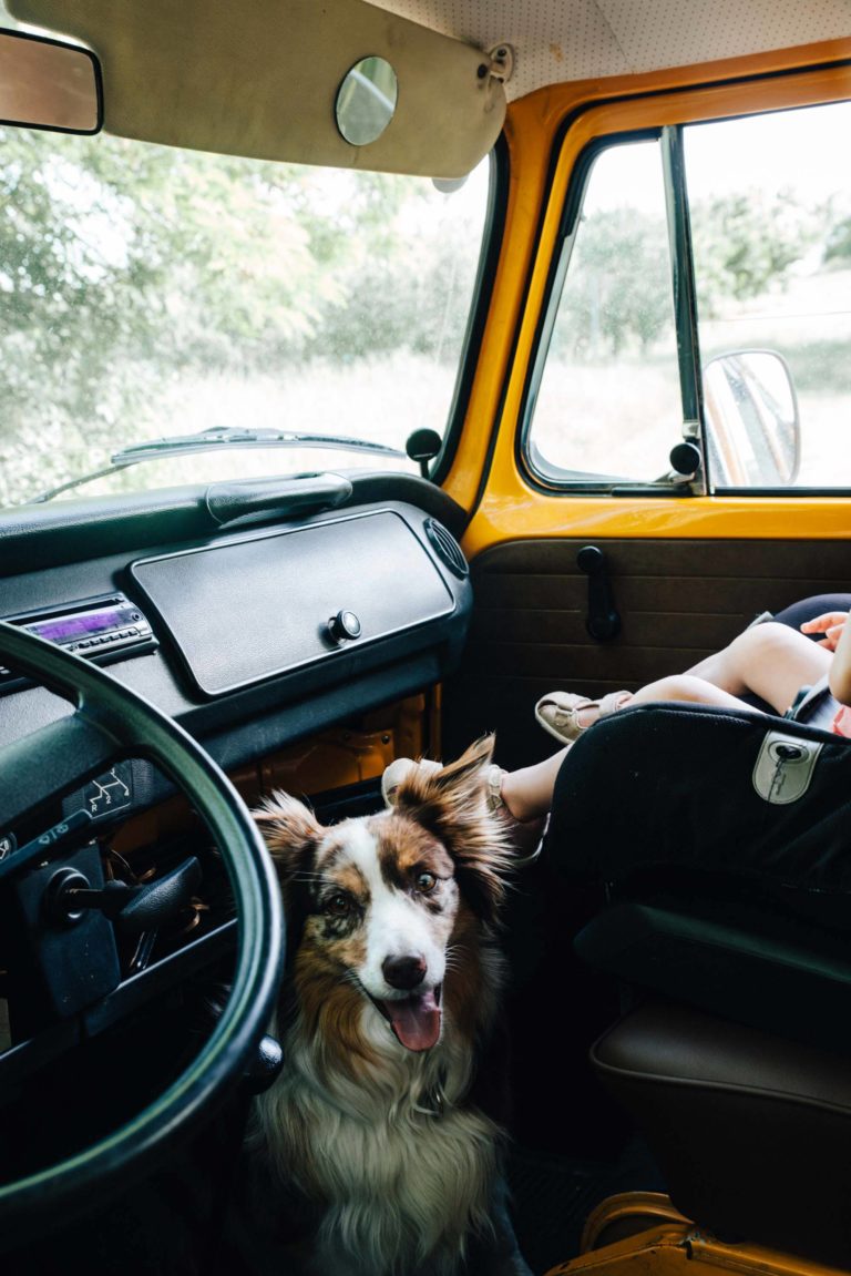 Beeren-Joghurttorte mit Einkorn-Biskuit | Summermemories 01 - Das Mundwerk