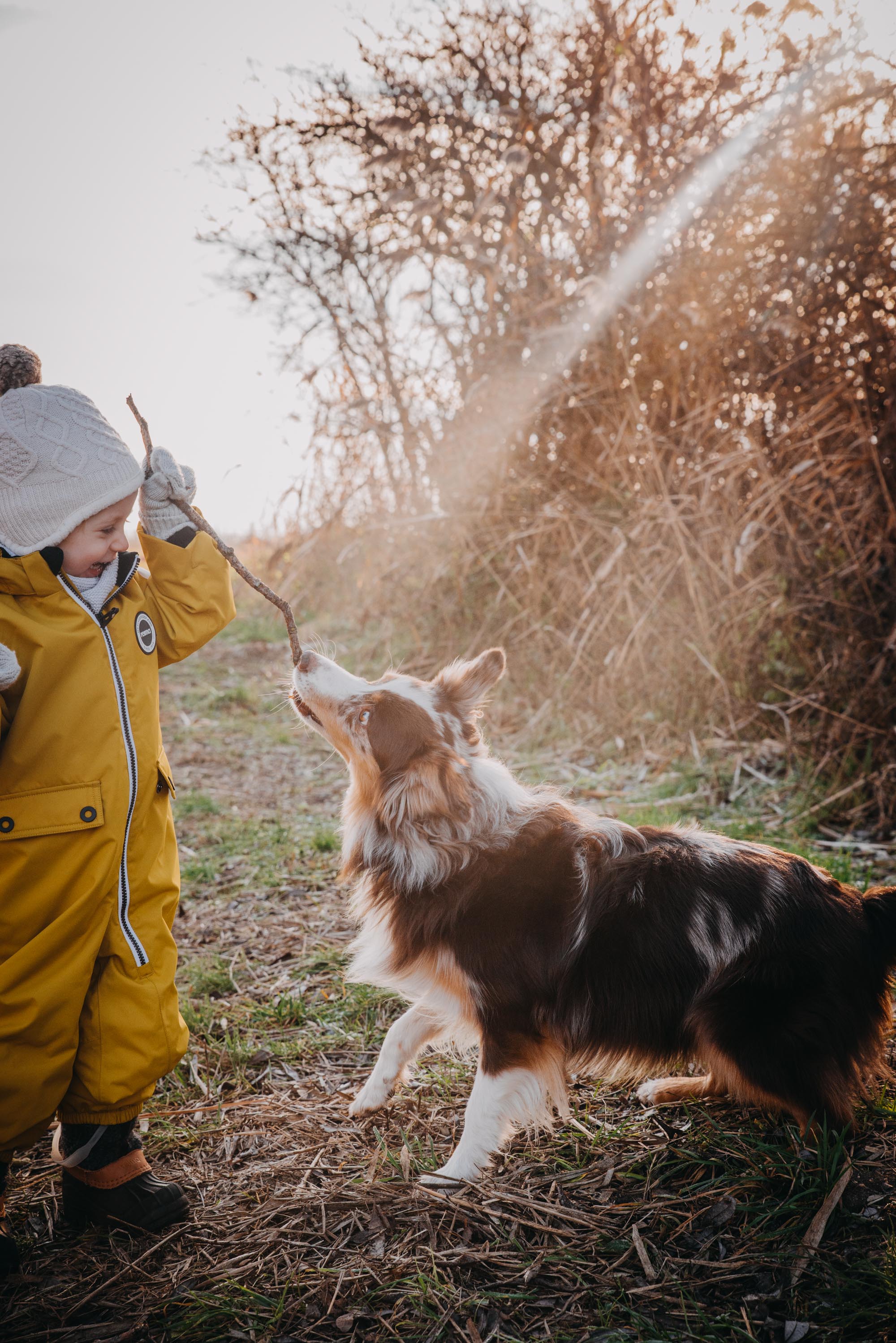Hund und Baby/ Kleinkind mit Achtsamkeit und Respekt zur lebenslangen